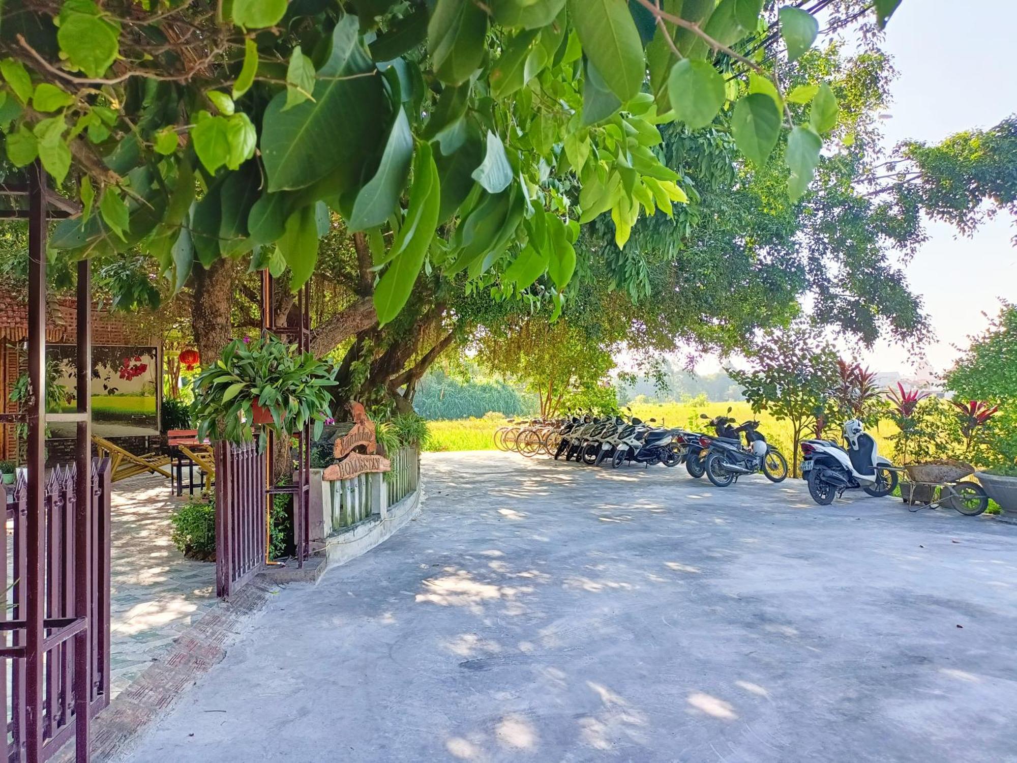 Tam Coc Sunshine Homestay Ninh Binh Eksteriør billede