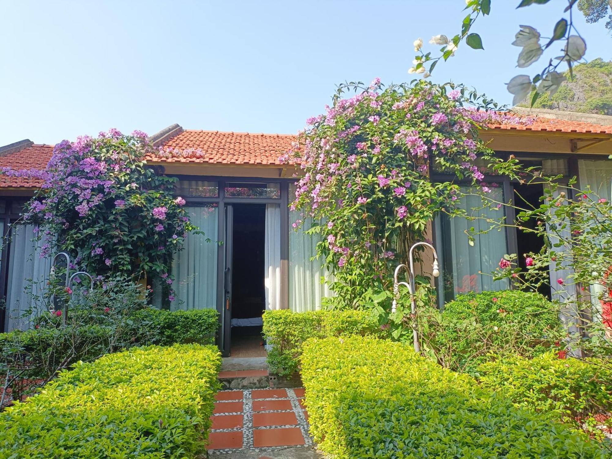 Tam Coc Sunshine Homestay Ninh Binh Eksteriør billede
