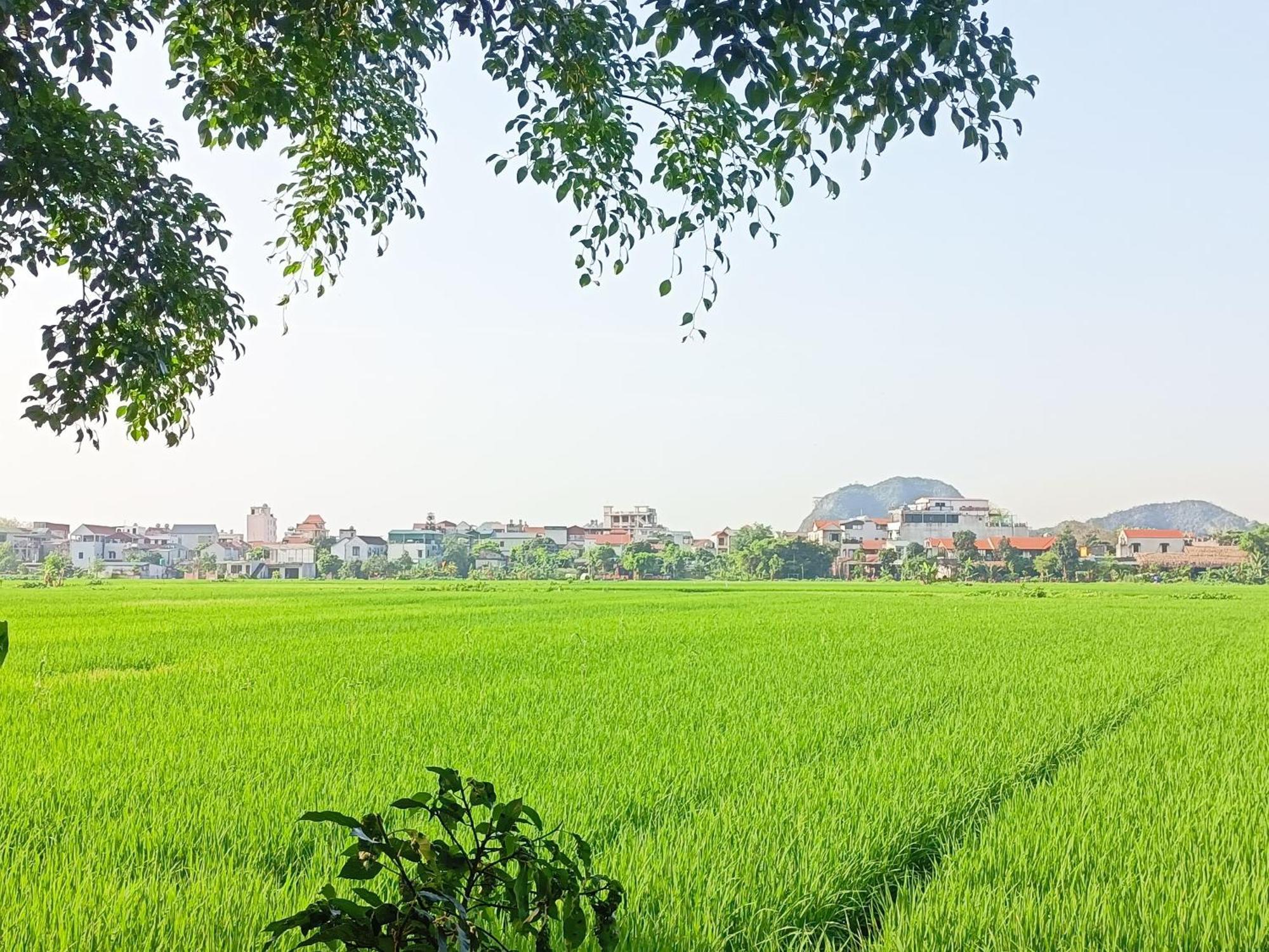 Tam Coc Sunshine Homestay Ninh Binh Eksteriør billede