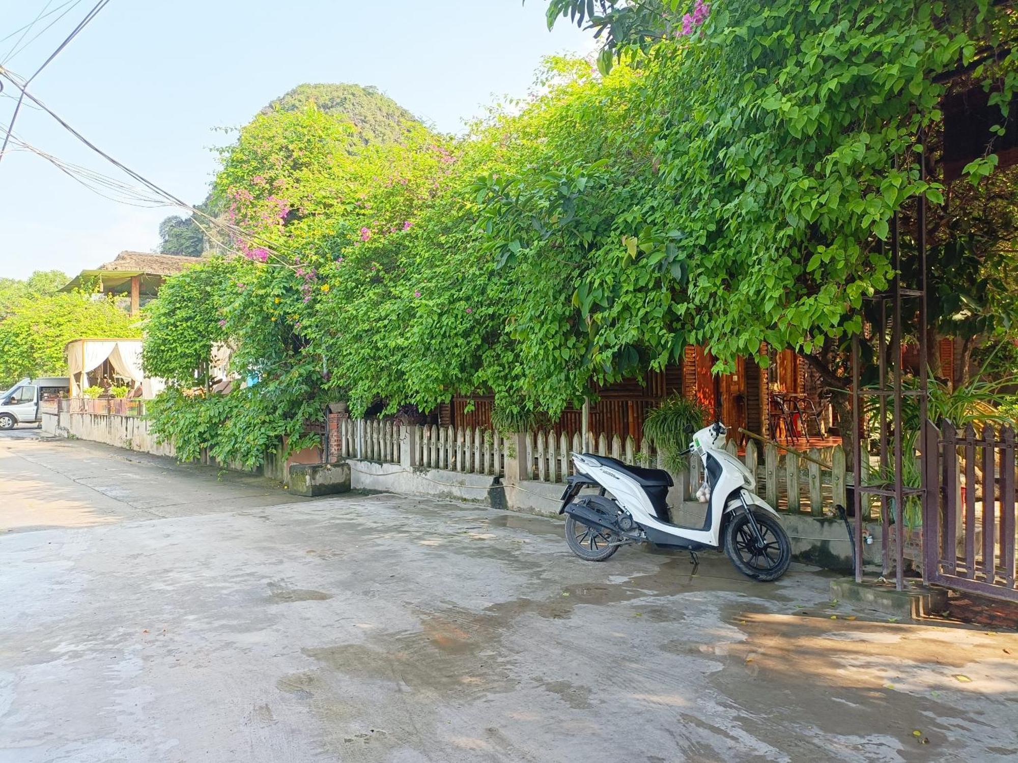 Tam Coc Sunshine Homestay Ninh Binh Eksteriør billede