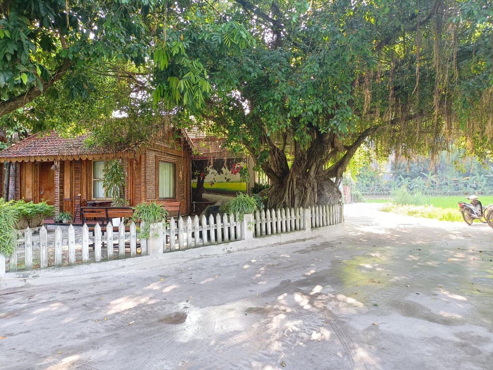 Tam Coc Sunshine Homestay Ninh Binh Eksteriør billede