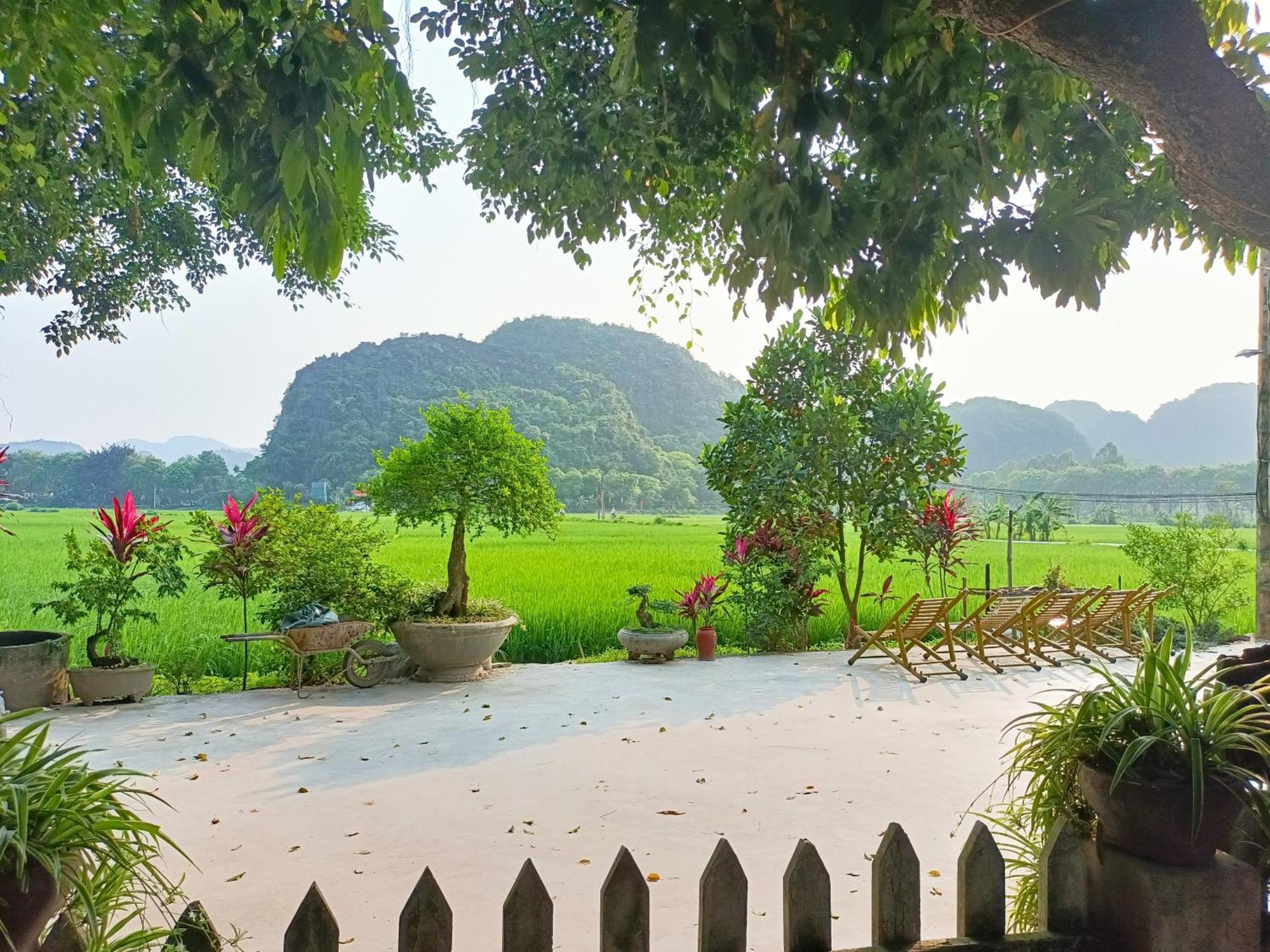 Tam Coc Sunshine Homestay Ninh Binh Eksteriør billede