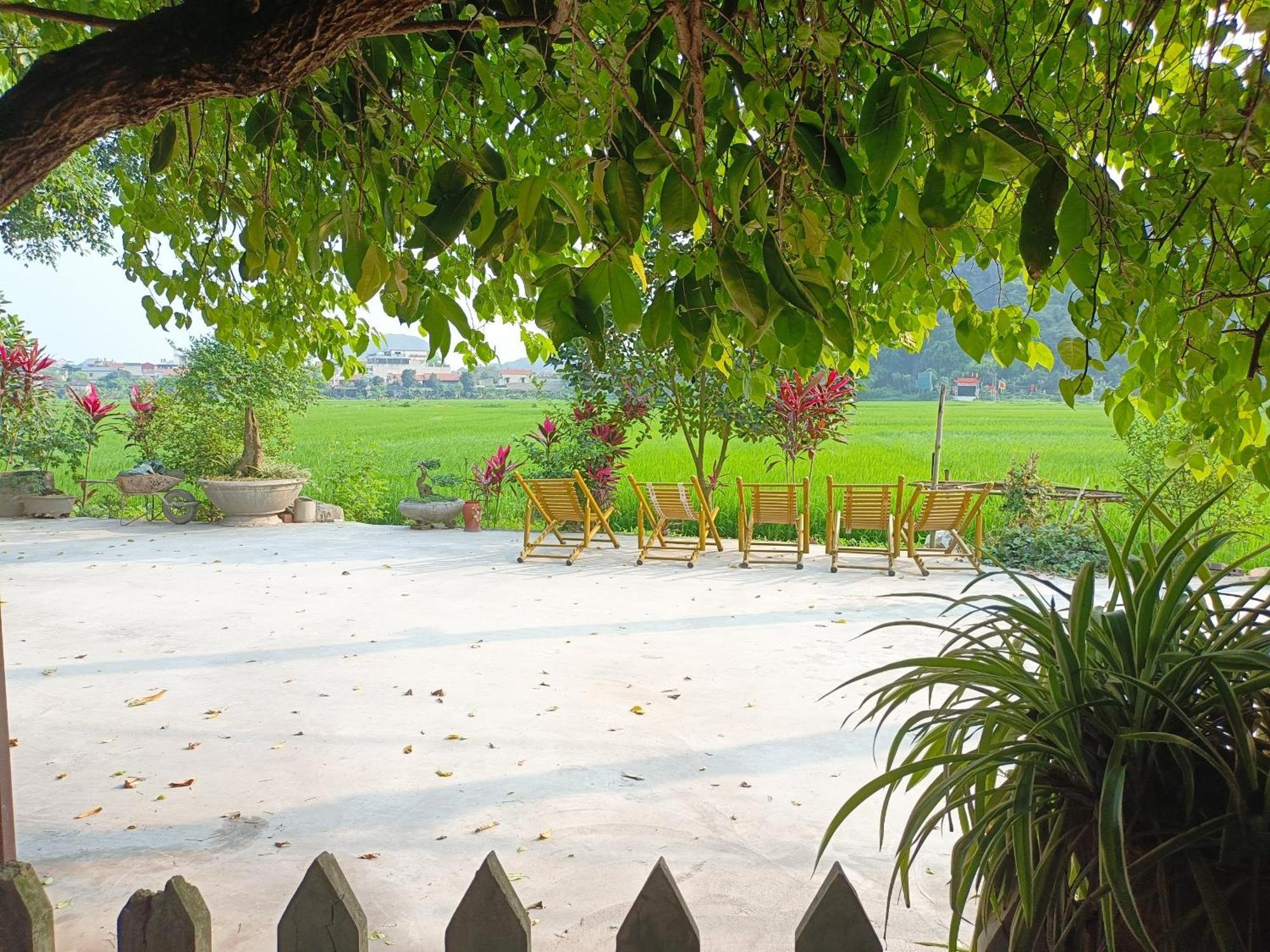 Tam Coc Sunshine Homestay Ninh Binh Eksteriør billede
