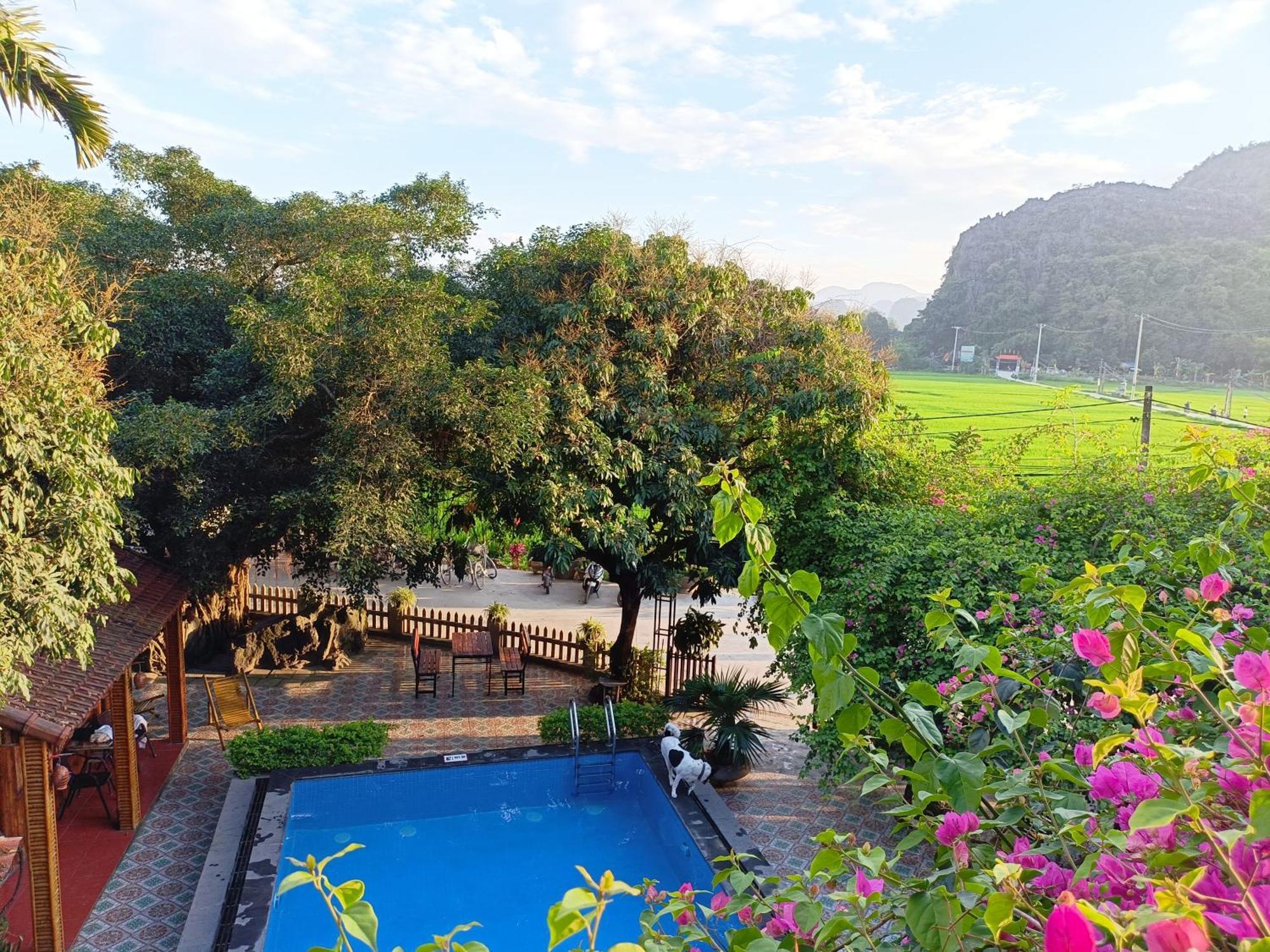Tam Coc Sunshine Homestay Ninh Binh Eksteriør billede