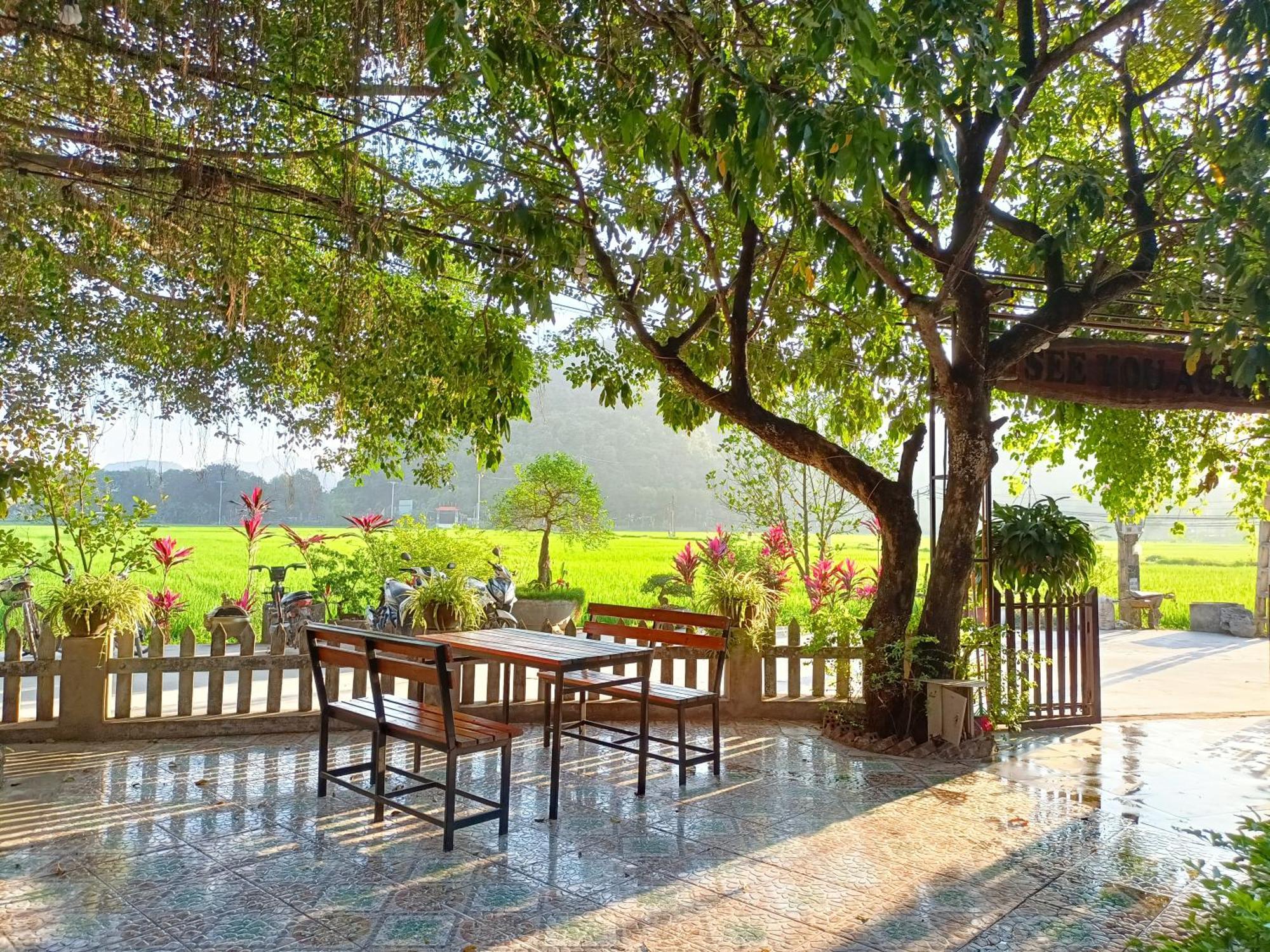 Tam Coc Sunshine Homestay Ninh Binh Eksteriør billede