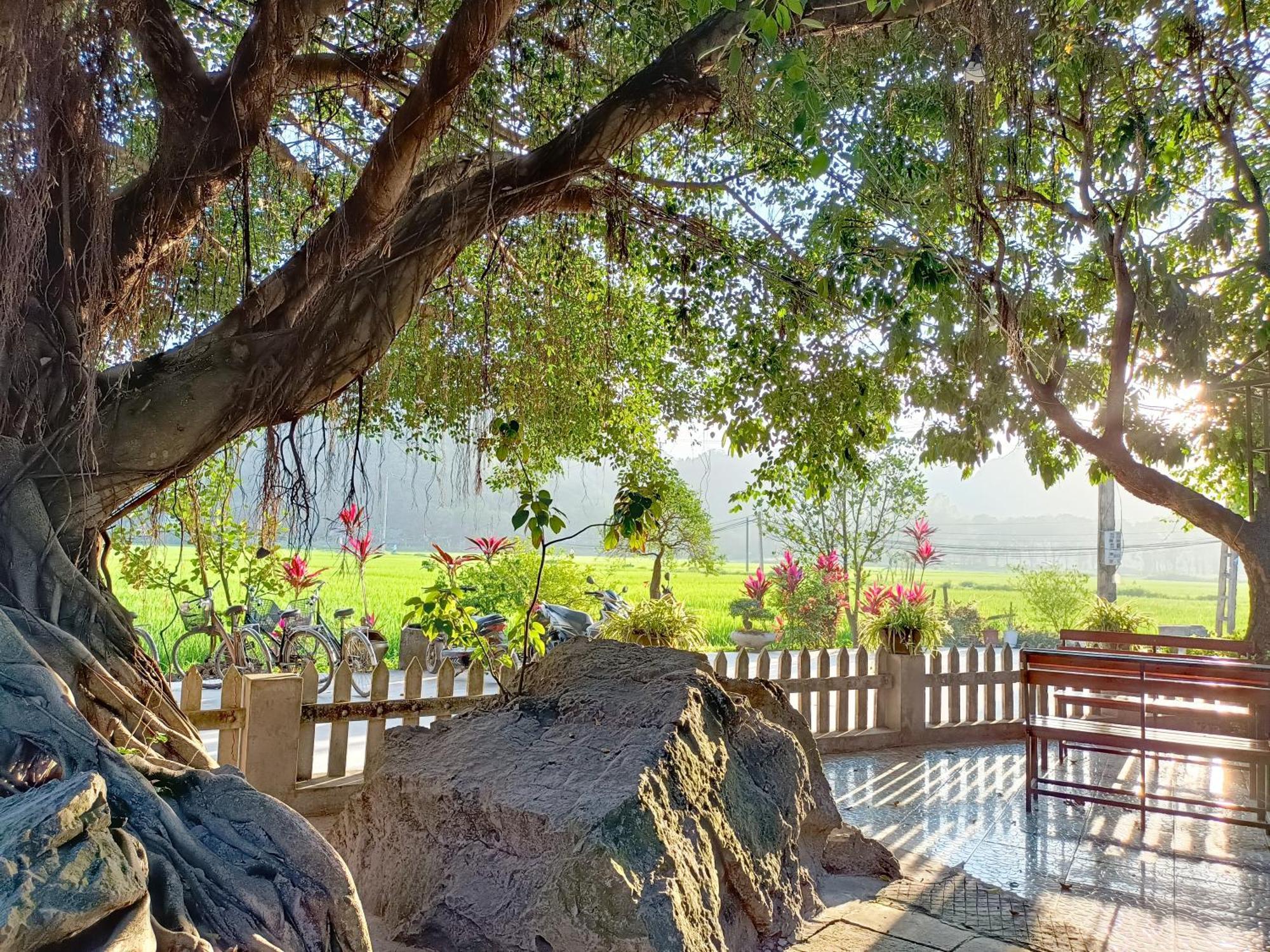 Tam Coc Sunshine Homestay Ninh Binh Eksteriør billede