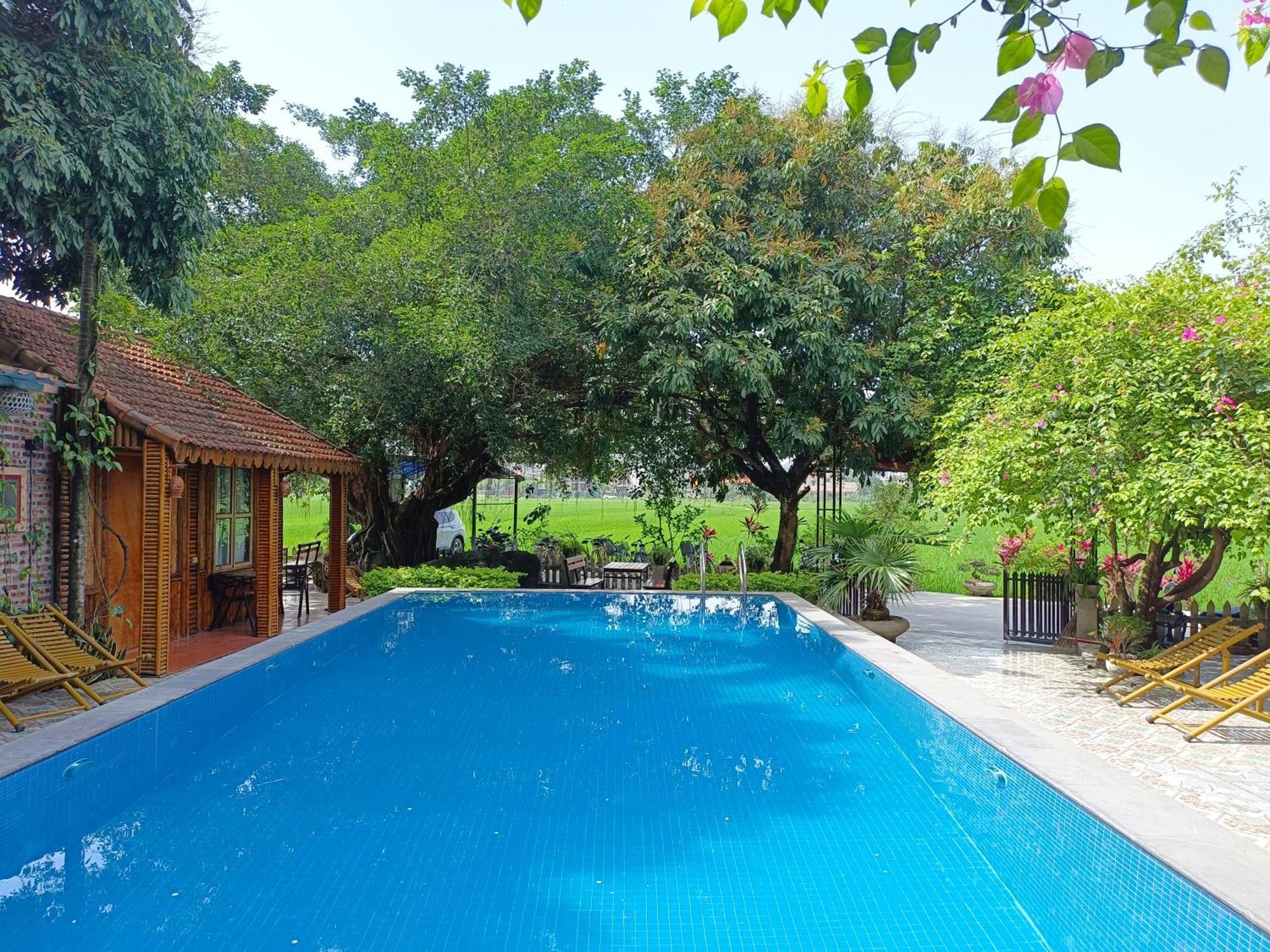 Tam Coc Sunshine Homestay Ninh Binh Eksteriør billede