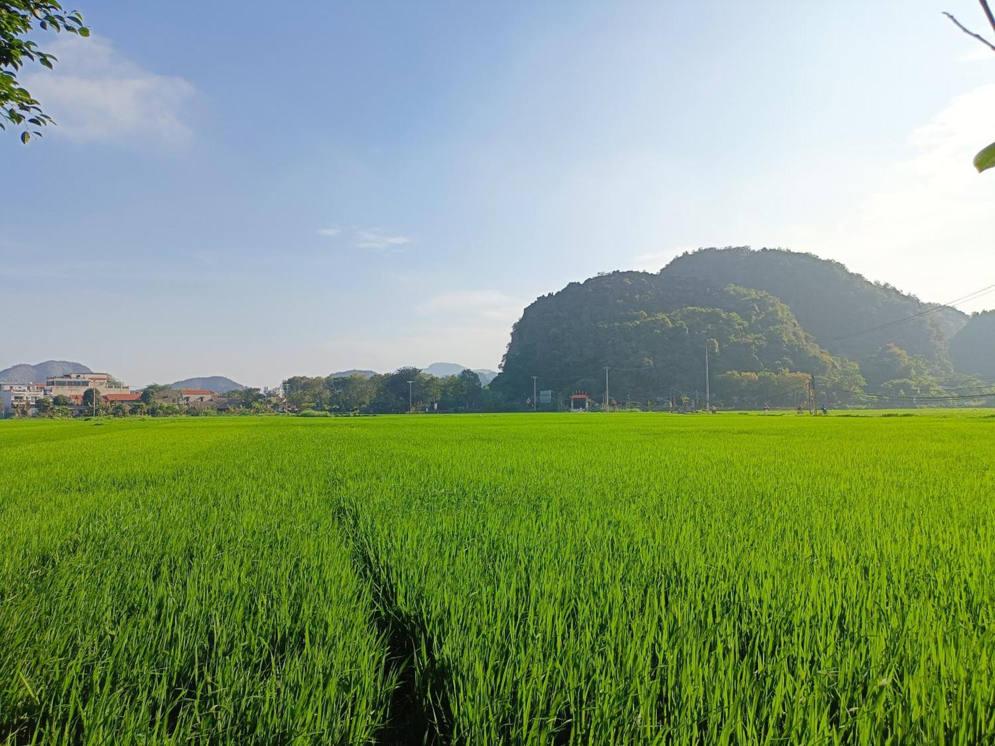 Tam Coc Sunshine Homestay Ninh Binh Eksteriør billede